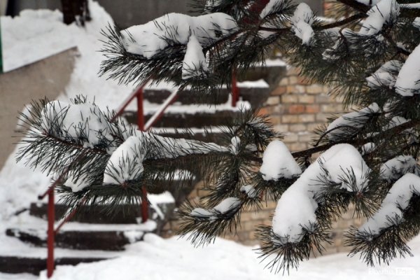 Лютий лютує: фото зими в Луцьку