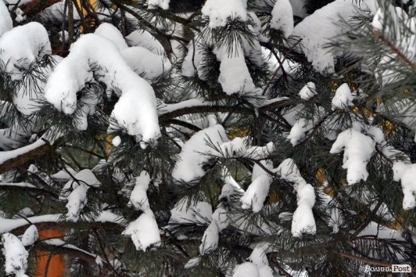 Лютий лютує: фото зими в Луцьку