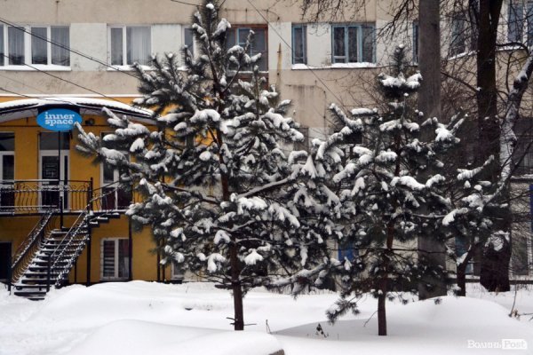 Лютий лютує: фото зими в Луцьку
