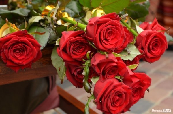 У Луцьку поряд з «Сіті-парком» відкрили Міст закоханих. ФОТО