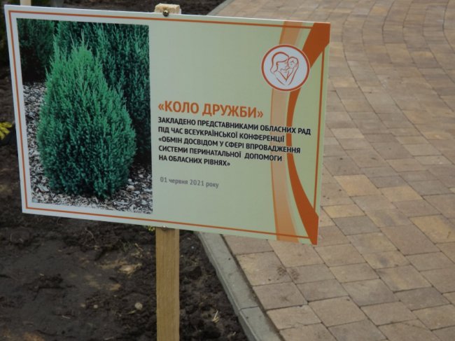 «Коло дружби»: у Сквері майбутнього поблизу волинського перинатального центру посадили туї