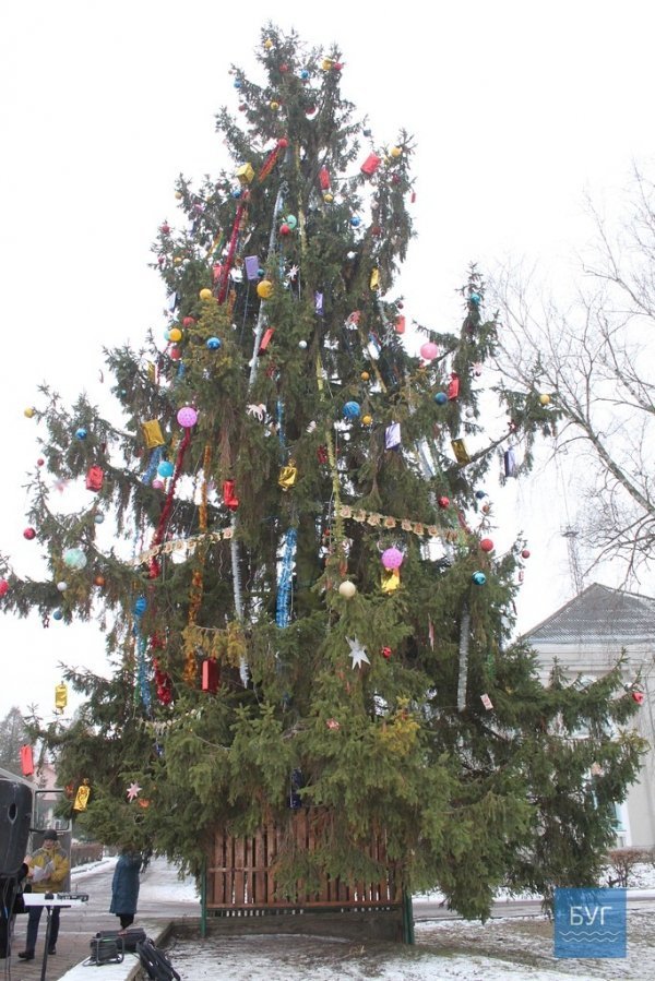 В Іваничах вирішили прикрасити ялинку, яка росте в центрі містечка