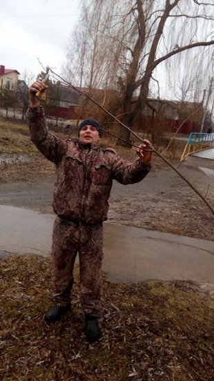 Мешканці міста на Волині висадили 300 лип