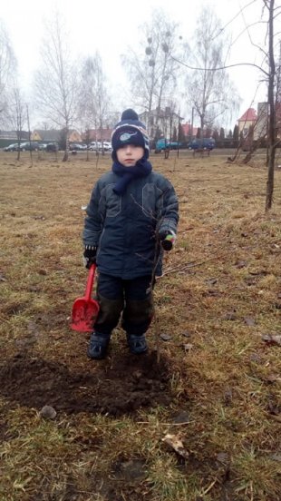 Мешканці міста на Волині висадили 300 лип