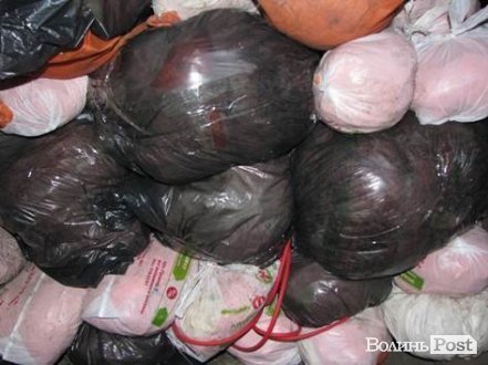 На Дніпропетровщині замінували залізничний перегін. ФОТО