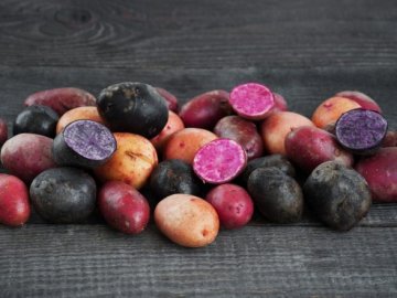 В Україні з'явився новий тренд – кольорова картопля
