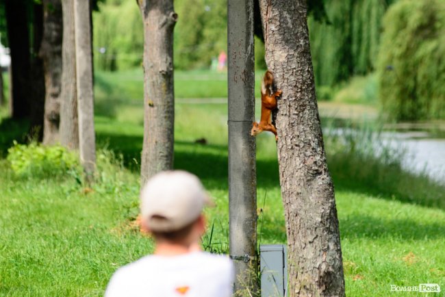 У луцькому парку в День батька влаштували унікальні перегони на човнах. ФОТО