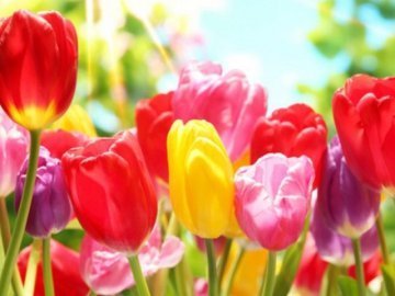 Куди піти на 8 березня в Луцьку