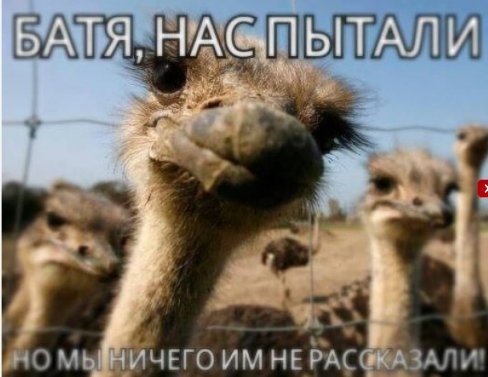 «Підтримувач страусів»: у Мережі висміяли інтерв'ю Януковича. ФОТО