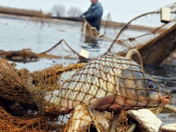 В Україні змінять правила рибальства