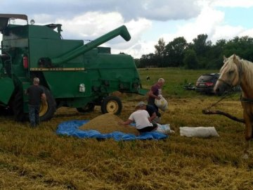«Плакати хочеться. Врожай був, але його град збив», – волинський фермер про наслідки негоди. ВІДЕО