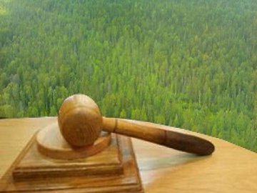 На Волині заплановано провести дев’ять земельних аукціонів