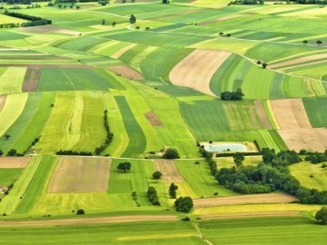 Лучанин понад 10 років не може оформити гектар землі