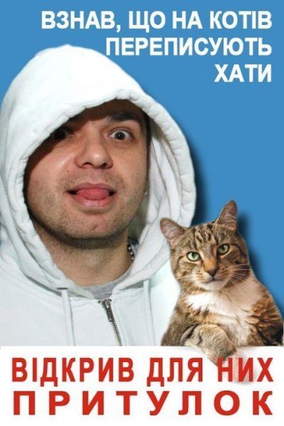 Бабуся і кіт: фотожабоманія триває. ФОТО