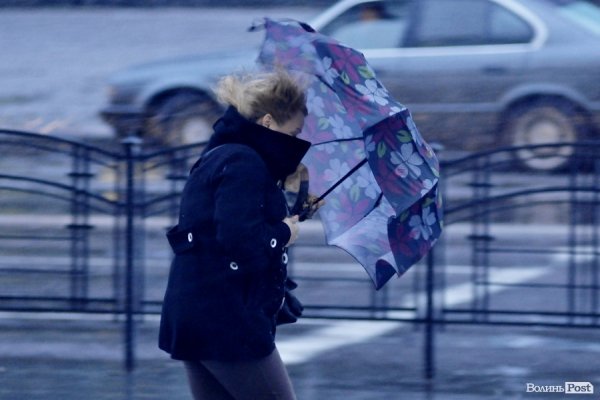 Перший сніг у Луцьку: холодно, вітряно, мокро. ФОТО. ВІДЕО