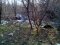 Жодного клаптика без сміття: у селі під Луцьком ліс загидили відходами