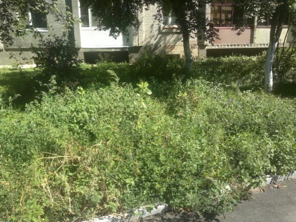 У Луцьку перевірили умови благоустрою. ФОТО