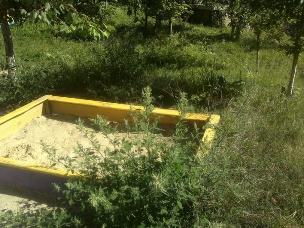 У Луцьку перевірили умови благоустрою. ФОТО