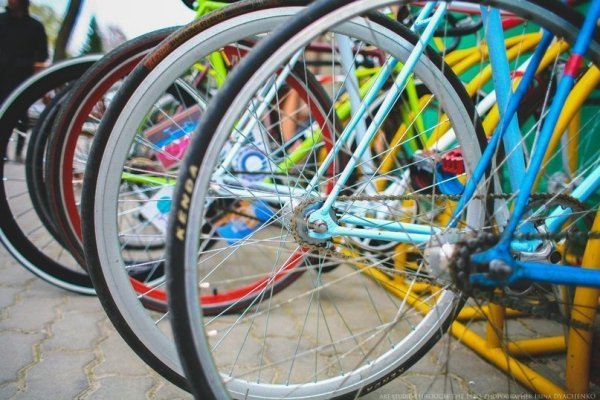 «Велопосиденьки» в луцькій кав'ярні. ФОТО