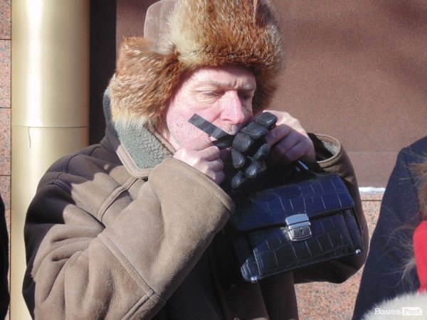 У Луцьку - пікет міліції. ФОТО. ВІДЕО