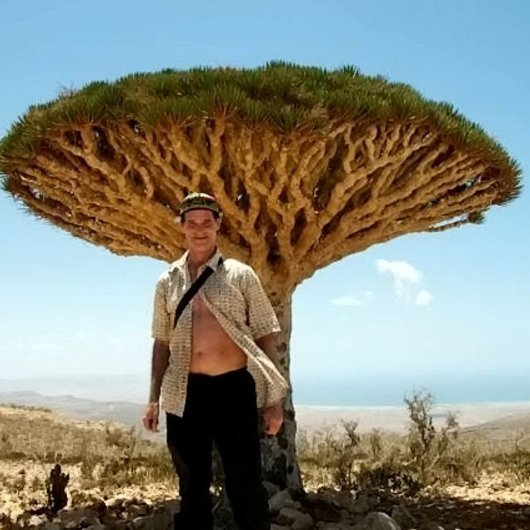 8. Майк Спенсер Боун біля Драконового дерева на Сокотрі. Фото: Mike Spencer Bown / SWNS