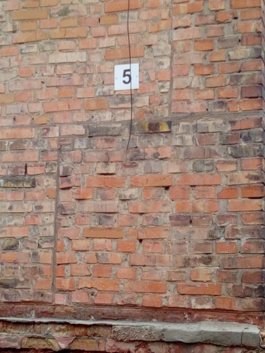 Витяг пістолет і вистрілив: на Волині чоловік ледь не вбив собаку, – ЗМІ