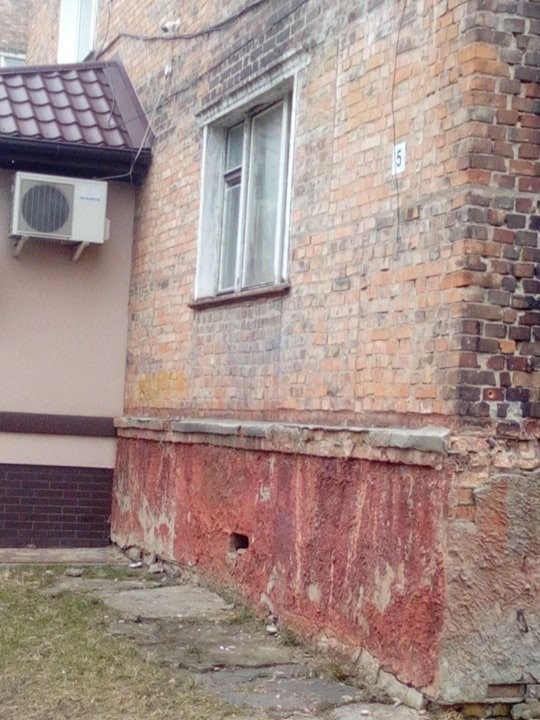 Витяг пістолет і вистрілив: на Волині чоловік ледь не вбив собаку, – ЗМІ