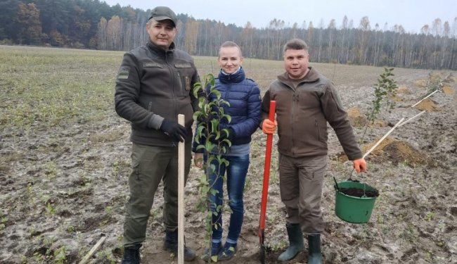Груші, абрикоси та персики: у лісгоспі на Волині висадили фруктовий сад. ФОТО