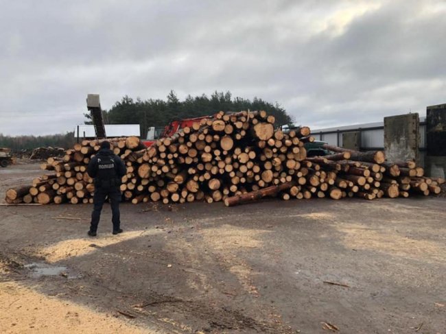 У Ковельському районі на пилорамах знайшли незаконну деревину. ФОТО