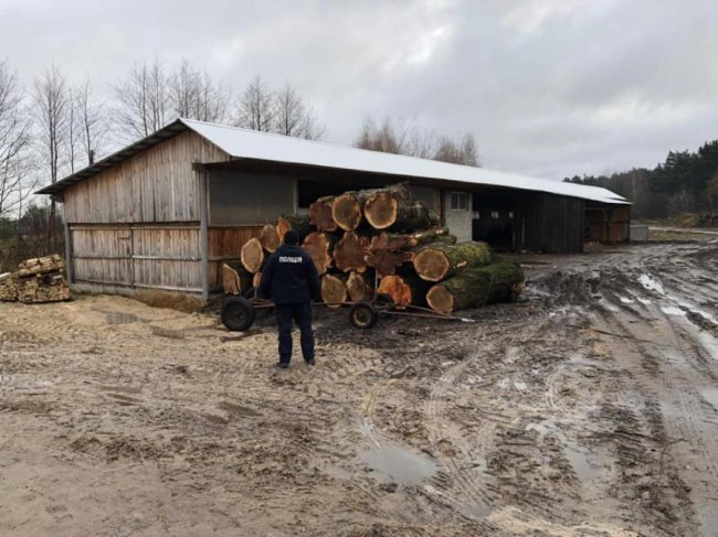 У Ковельському районі на пилорамах знайшли незаконну деревину. ФОТО