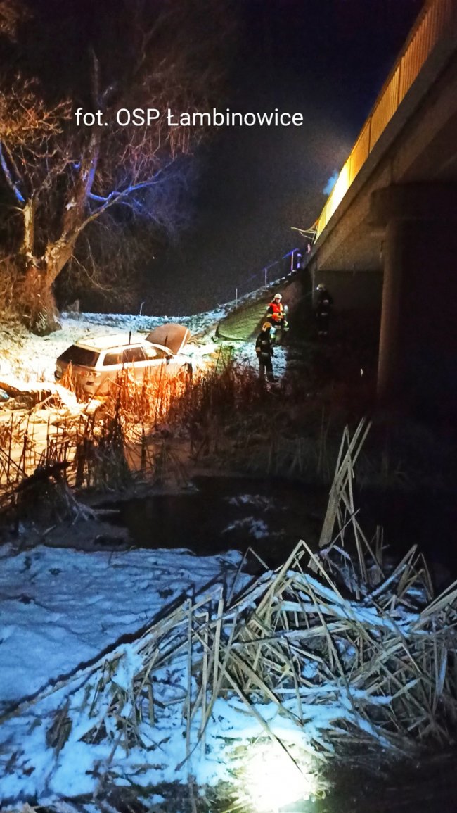 У Польщі українець за кермом авто впав з мосту в річку. ФОТО