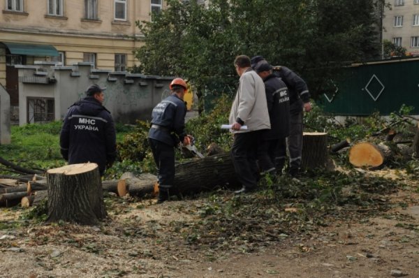 Порахували збитки від негоди на Львівщині. ФОТО