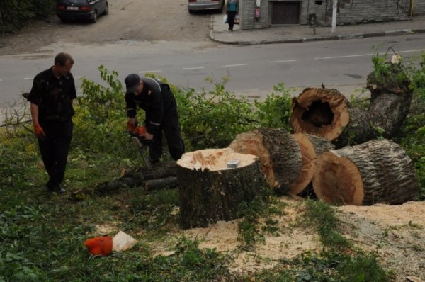 Порахували збитки від негоди на Львівщині. ФОТО