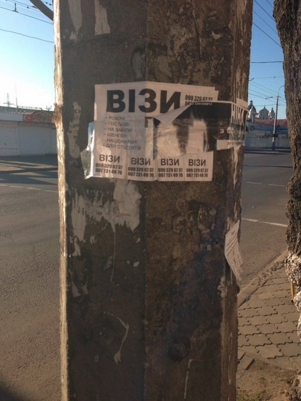 Луцькі муніципали боролися із рекламою на стовпах. ФОТО 