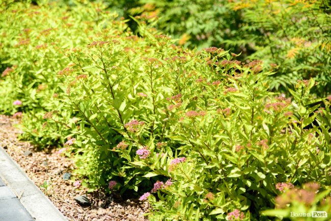 Місце затишку: як у Луцьку будують оселі у ЖК «Caramel Residence». ФОТО*