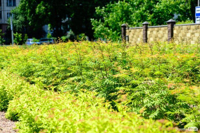 Місце затишку: як у Луцьку будують оселі у ЖК «Caramel Residence». ФОТО*