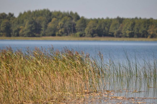 Краса Пісочного озера на знімках місцевого фотографа