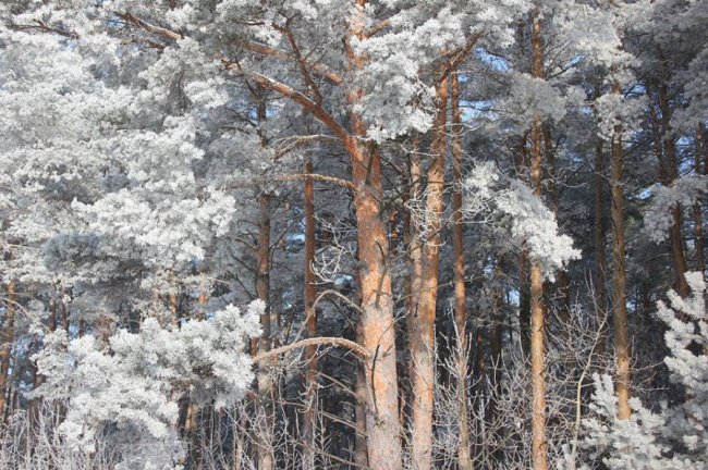 Казковий Стир скувало кригою. ФОТО