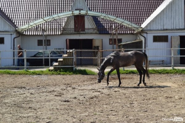 БАНДЕРШТАТ. Наживо. ТЕКСТ. ФОТО. День перший