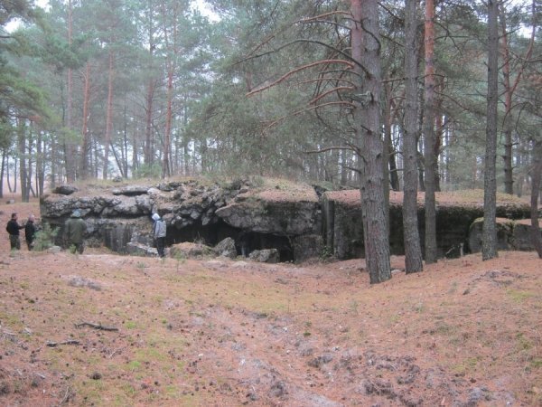 На Рівненщині шукали захоронення польських офіцерів. ФОТО