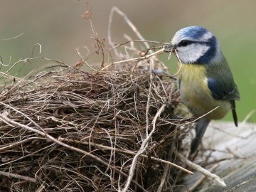 Погода в Луцьку та Волинській області на четвер, 1 квітня