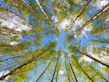 Чому сьогодні нікому не можна давати хліб і сіль та ходити в гості: прикмети і забобони 31 березня