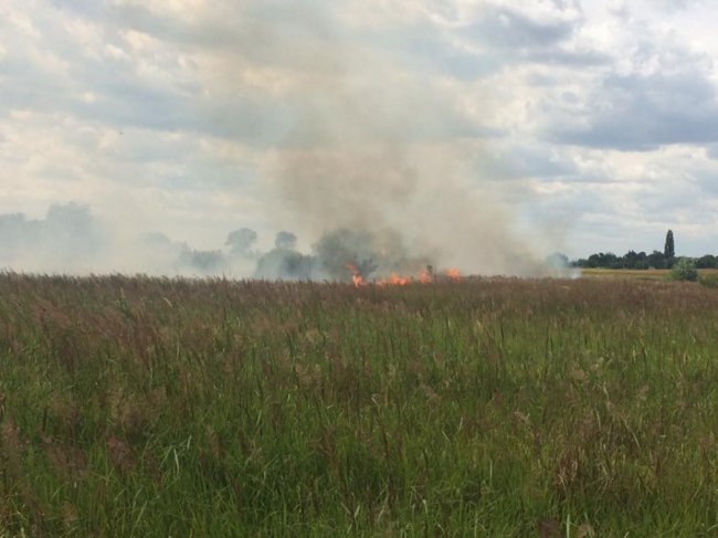 Через паліїв сміття на Волині вигоріло три гектари поля