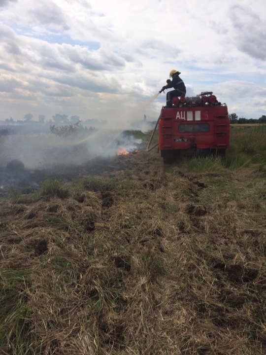 Через паліїв сміття на Волині вигоріло три гектари поля
