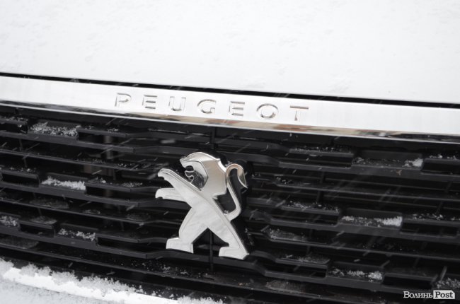 У Луцьку сімейним лікарям вручили ключі від новеньких автівок. ФОТО