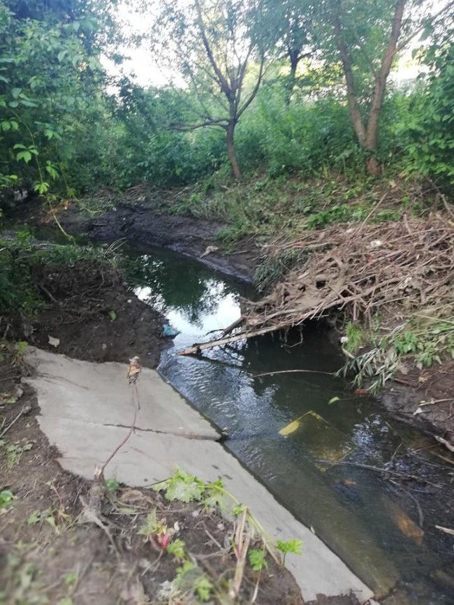 У Луцьку в районі ЛПЗ негода наробила шкоди