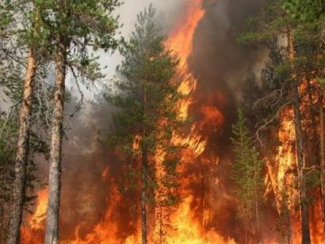 На Волині оголосили надзвичайну пожежну небезпеку