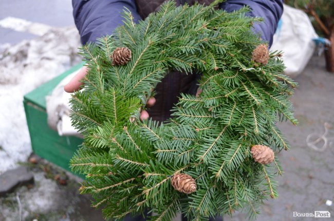Від і до: за скільки у Луцьку можна купити новорічне деревце. ФОТО