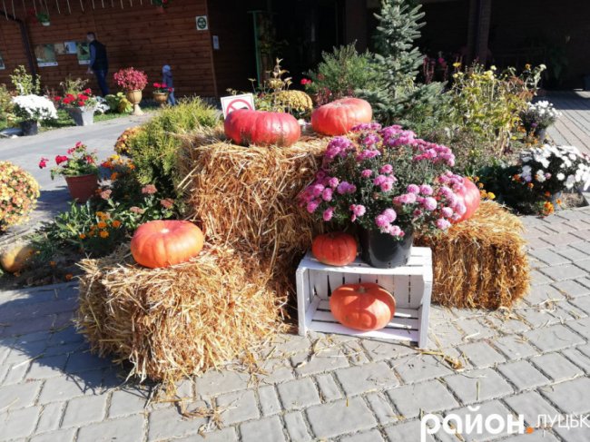 Як у луцькому звіринці відзначали Свято гарбуза. ФОТО