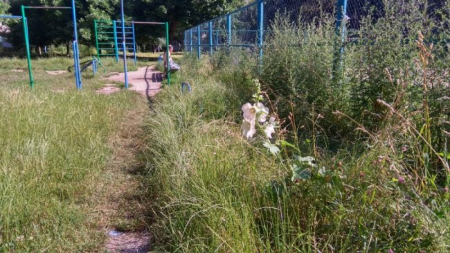 У Луцьку майдачник для воркауту обріс травою, люди просять негайно покосити 